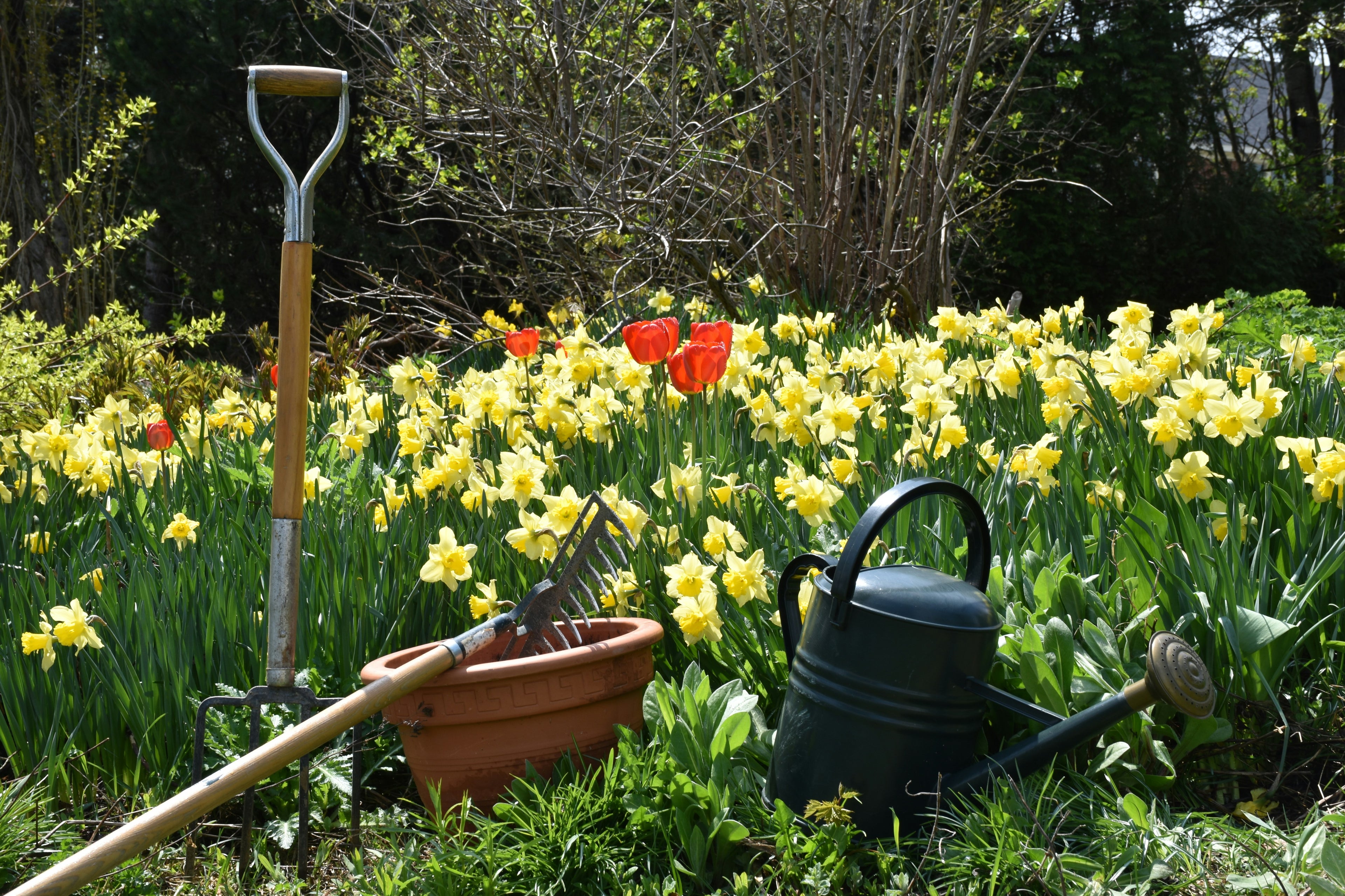 Year-Round Flower Bed Maintenance & Planning Toolkit
