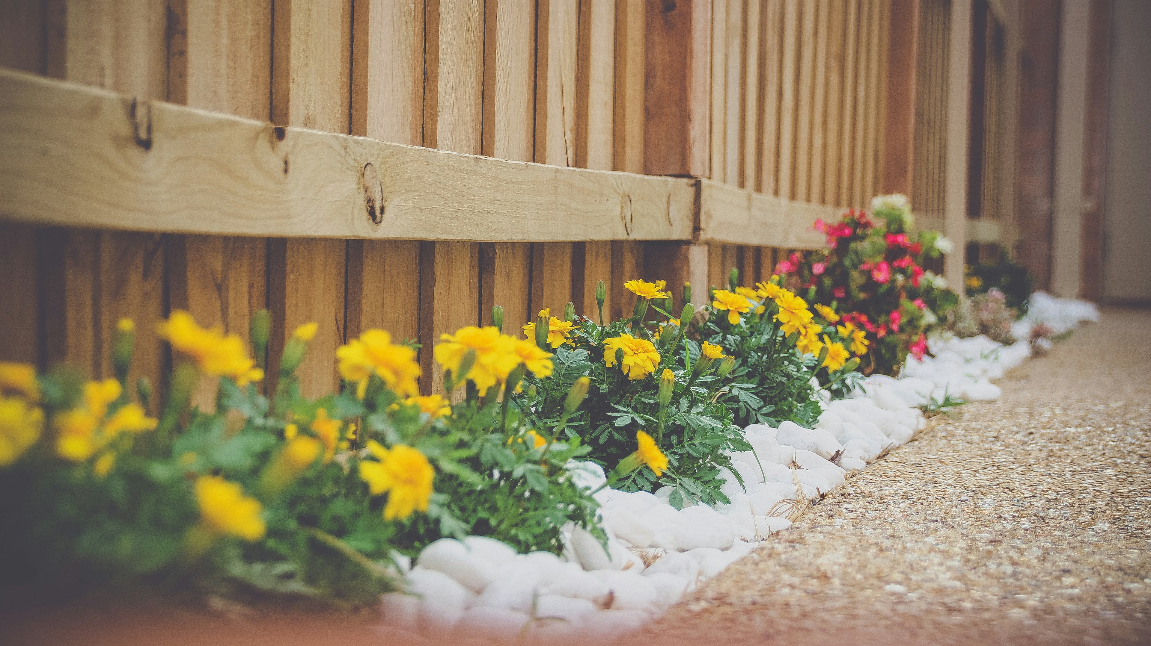 Beginner Flower Bed Design Fundamentals