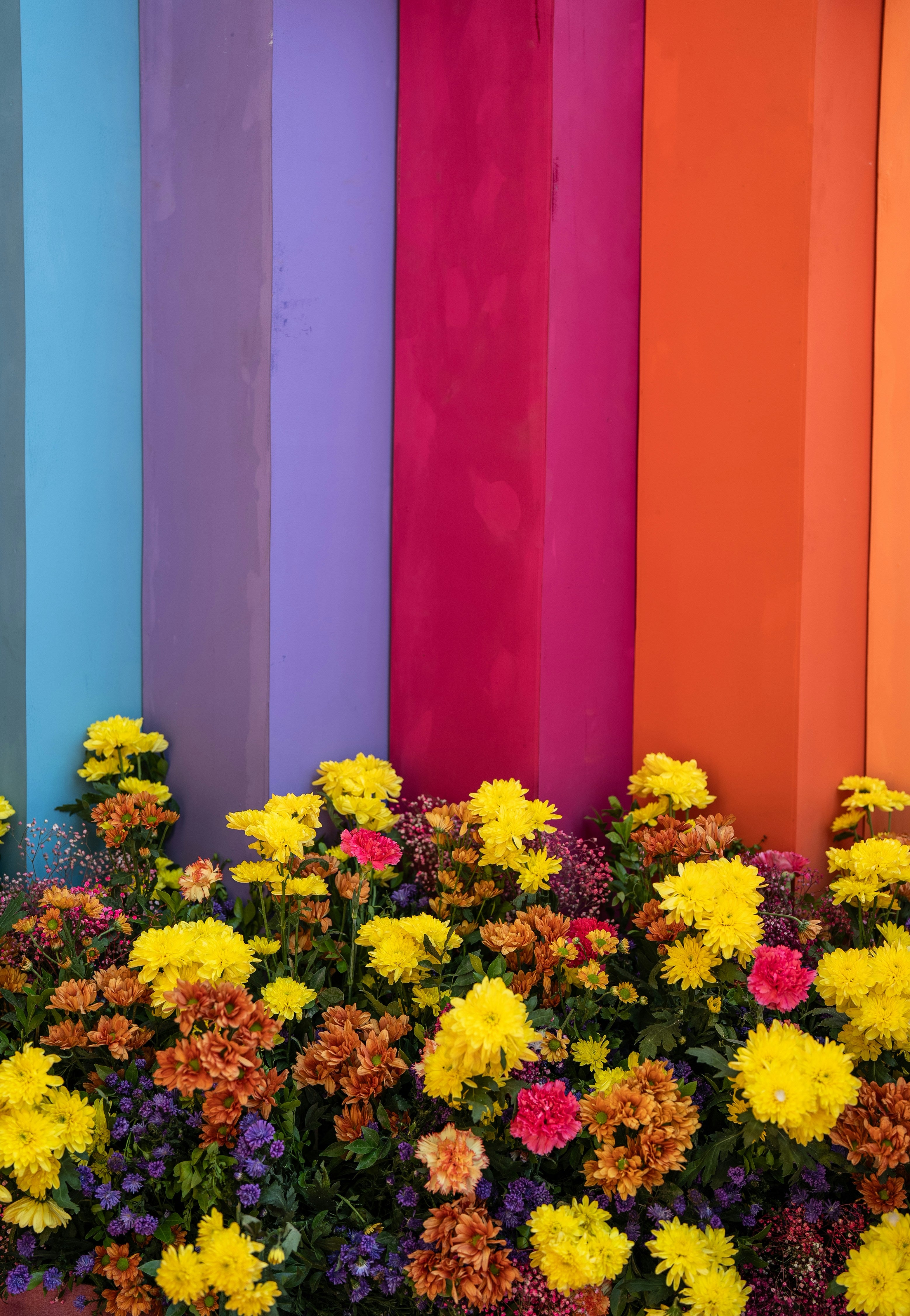 Color Theory for Flower Bed Designers